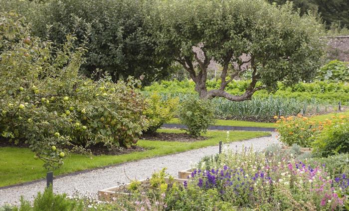 Llanerchaeron Walled Garden